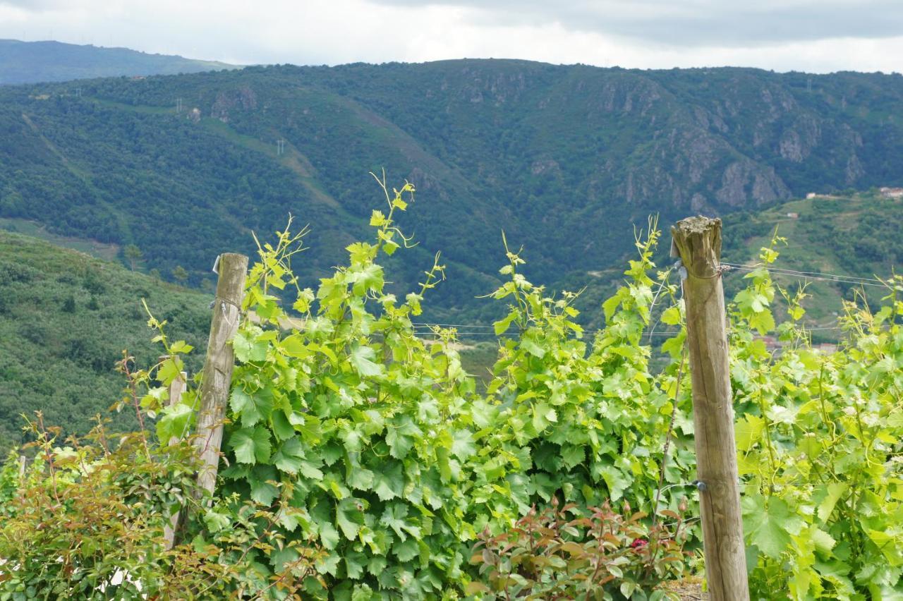 BarantesO Muino Casa Ferrador Ribeira Sacra公寓 外观 照片